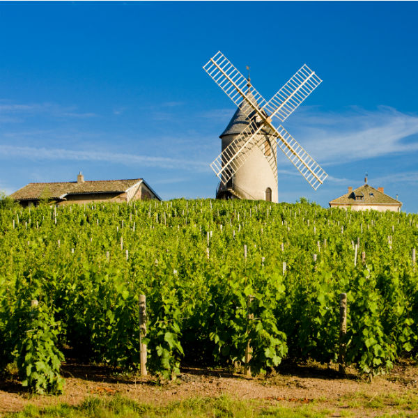 Vins du Beaujolais